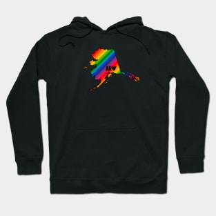 USA States: Alaska (rainbow) Hoodie